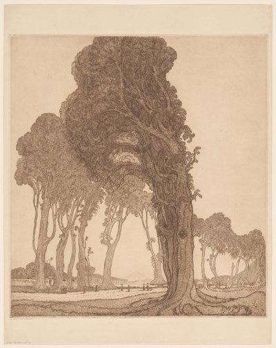 Deel van de grote weg bij de dessa Cakranegara (Tjakranegara) op Lombok door Wijnand Otto Jan Nieuwenkamp