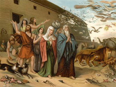 Uit de ark komen door Wilhelm Ebbinghaus