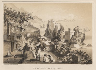 Funchal, Madeira, vanaf de Curral, 1885 door Wilhelm Joseph Heine