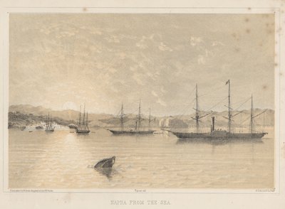 Napha van de zee, 1855 door Wilhelm Joseph Heine