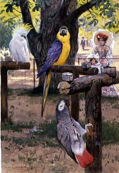 In de dierentuin door Wilhelm Kuhnert