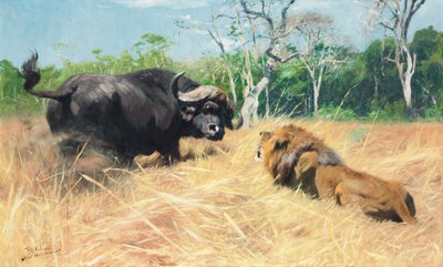 Buffel en leeuw voor het gevecht door Wilhelm Kuhnert