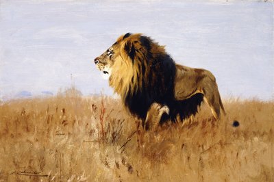 De Leeuw die op Prooi Wacht door Wilhelm Kuhnert