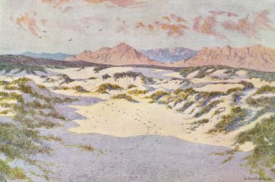 Op de zandduinen bij Muizenberg door Wilhelm Westhofen