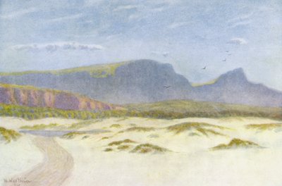 Zandduinen door Wilhelm Westhofen