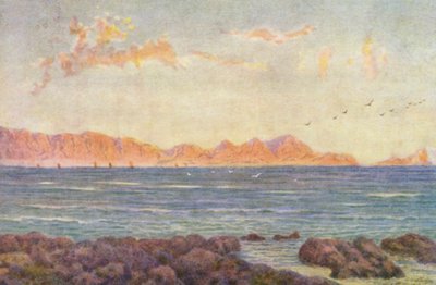 Het Zuidelijke Deel van Valsbaai, met Kaap Hangclip door Wilhelm Westhofen