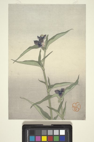 Bloemenstudie, ca. 1908 door Wilhelmina Seegmiller