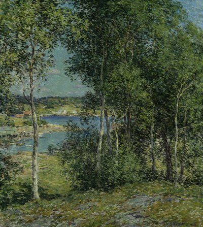 Een Familie van Berken, 1907 door Willard Leroy Metcalf