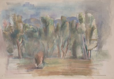 Studie door Willard Nash
