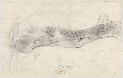 Studie van een boom door Willem Anthonie van Deventer