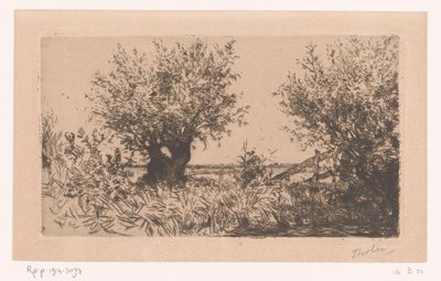 Landschap met weiland, knotwilgen en hek door Willem Bastiaan Tholen (signed by artist)