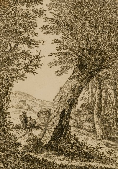 Landschap met wilg door Willem Bemmel