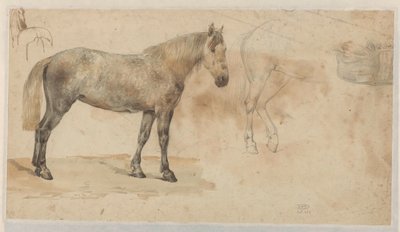Studies van een paard door Willem Carel Nakken