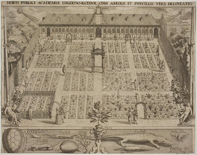 De Botanische Tuin in Leiden door Willem Isaaksz Swanenburgh