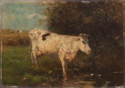 Witte Koe door Willem Maris