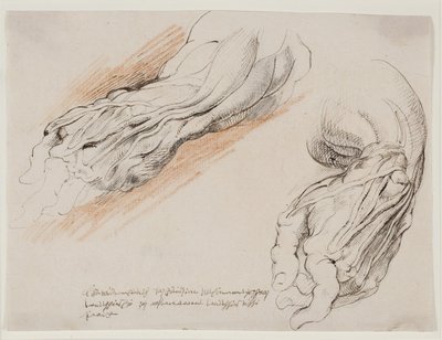 Anatomische Studies (écorchés). De ontvelde linkeronderarm van een man in twee posities. door Willem Panneels
