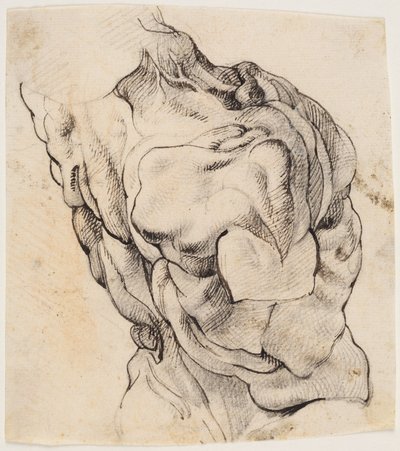 Anatomische Studie (écorché). Torso van een gevilde man gezien van de achterkant half gedraaid naar rechts door Willem Panneels