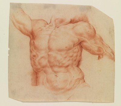 Vooraanzicht van de torso van Laocoön door Willem Panneels