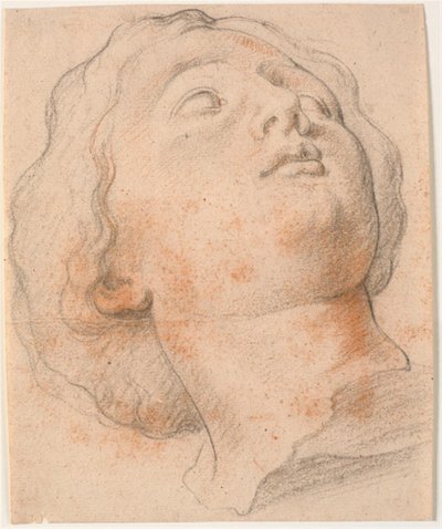 Hoofd van een Romeinse vrouw, kwart profiel naar rechts door Willem Panneels