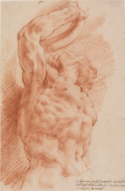 Laocoon. Laocoon