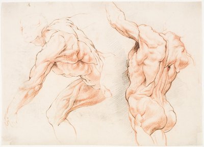 Twee anatomische studies van een man die naar links leunt en een andere van achteren gezien met opgeheven arm (écorché) door Willem Panneels
