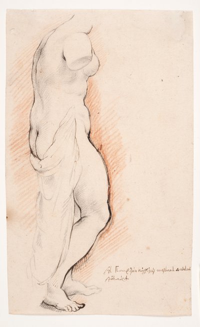 Venus. Antiek standbeeld gezien van rechts door Willem Panneels