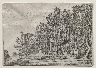 De set van de landschappen: Twee plank-heggen, 1616 door Willem Pietersz Buytewech