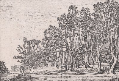 Twee Plank Heggen, uit Verscheyden Landtschapjes Diverse Kleine Landschappen, Plaat 6,..., ca. 1616 door Willem Pietersz. Buytewech