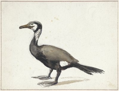 Aalscholver door Willem Roelofs (I)