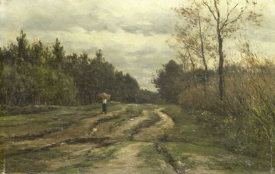 Landweg bij Laren, (Provincie Noord-Holland) door Willem Roelofs (I)
