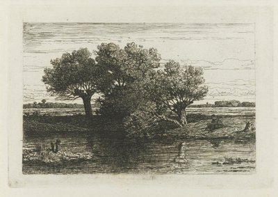 Visser bij de knotwilgen door Willem Roelofs (I)