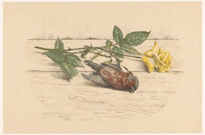 Dode vink liggend naast een roos door Willem Roelofs (II) (signed by artist)