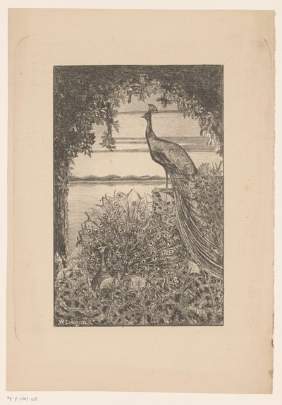 Zittende en staande pauw in de natuur door Willem Scherjon