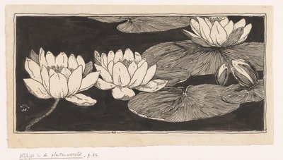 Waterlelies door Ludwig Willem Reymert Wenckebach