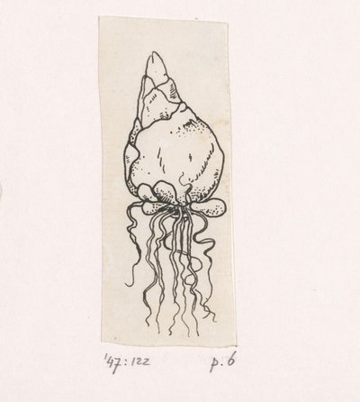Bloembol door Willem Wenckebach