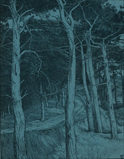 Bos, ca. 1912 door Willem Wenckebach