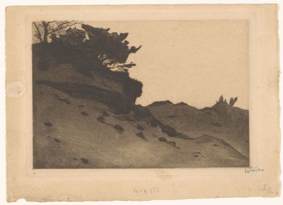 Struiken op een zandverstuiving door Willem Witsen (signed by artist)