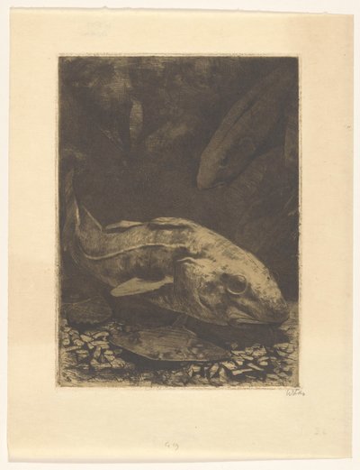 Vissen en waterplanten door Willem Witsen (signed by artist)