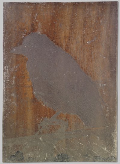 De kraai Ina door Willem Arnoldus Witsen