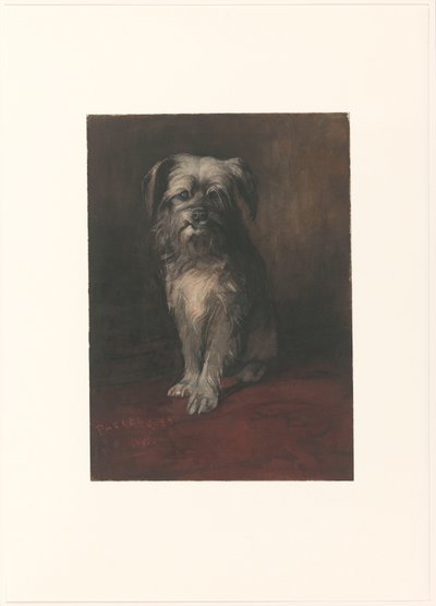 Portret van de hond Phoebus door Willem Arnoldus Witsen