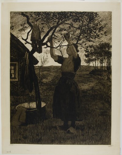 De Appelboom door Willem Arnoldus Witsen