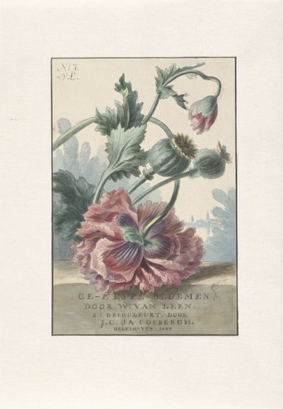 Klaprozen door Willem van Leen