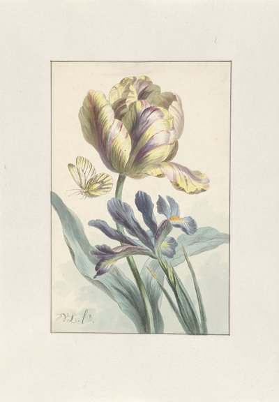 Tulp en Iris door Willem van Leen