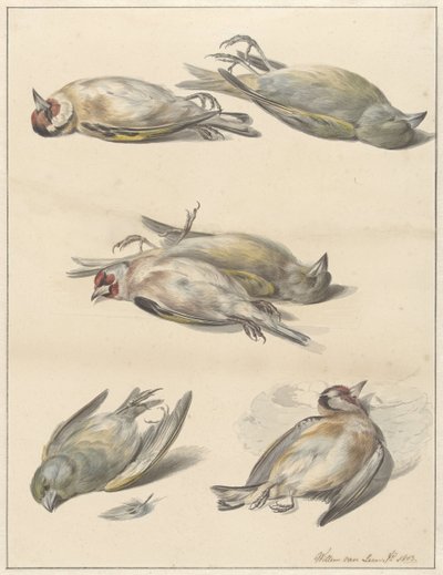 Zes dode vogeltjes door Willem van Leen