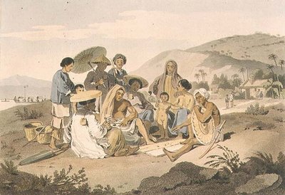 Een Groep Cochin Chinezen, plaat 14 uit 