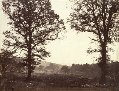 Landschap met iepen, Ashdown, Groot-Brittannië door William 2nd Earl of Craven
