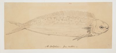 WD 961 f.24 door William Alexander