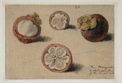 WD 961 f.26 door William Alexander
