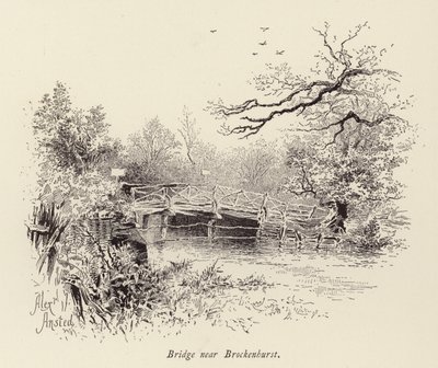 Brug bij Brockenhurst (gravure) door William Alexander Ansted