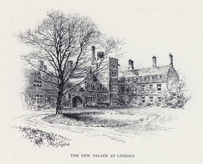 Het Nieuwe Paleis in Lincoln door William Alexander Ansted